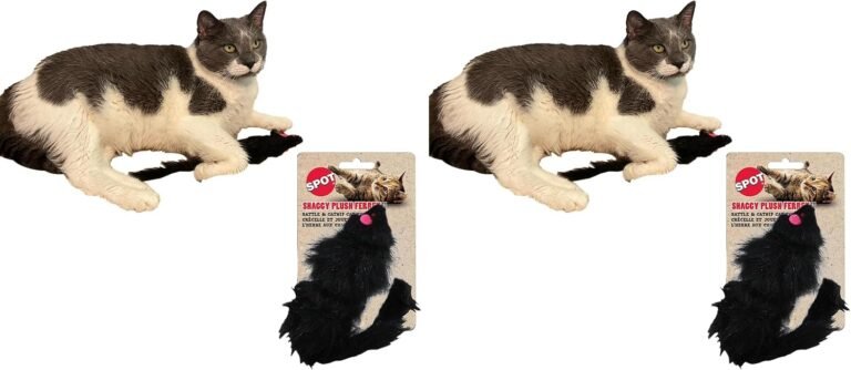 Catnip Toy: 7 Ultimate Steps For Amazing Ferret Fun In 2026 7 71E1GrJYdDL. AC SL1500 Petogist