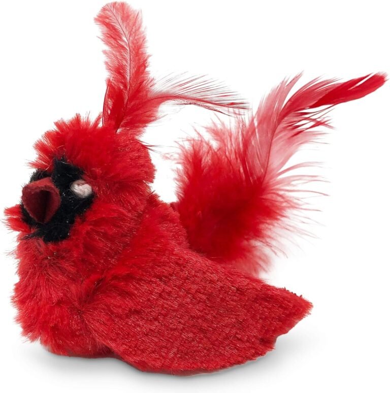 Cat Toy: 7 Ultimate Secrets For Amazing Indoor Play In 2026 4 81C wCySCpL. AC SL1500 Petogist
