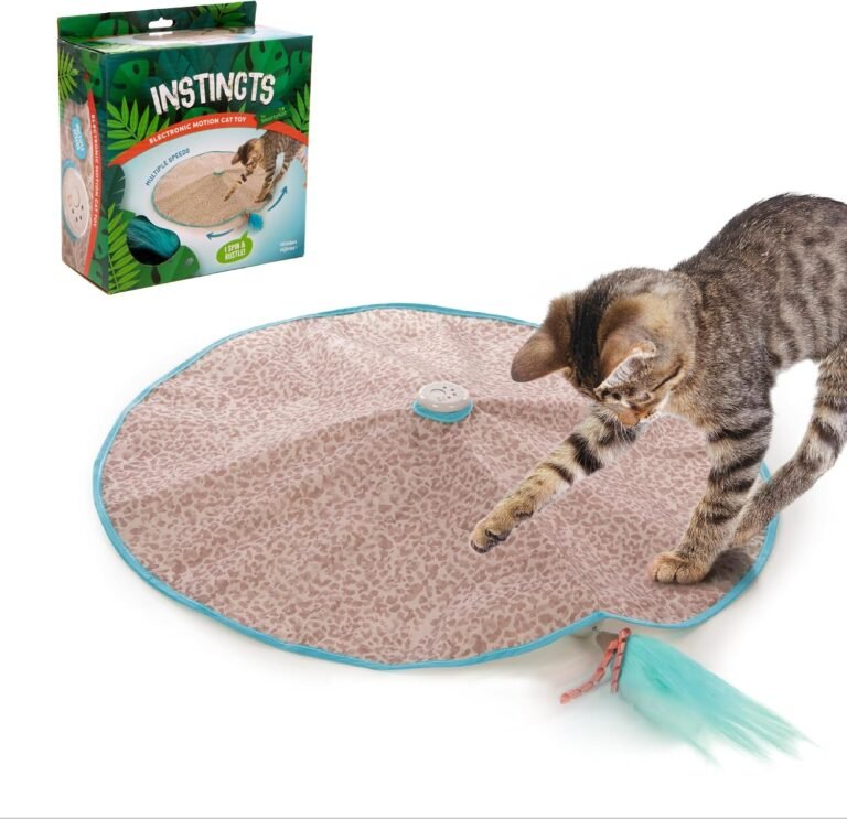 Cat Toy: 7 Ultimate Secrets For Amazing Indoor Play In 2026 19 81HX9K7zEL. AC SL1500 Petogist