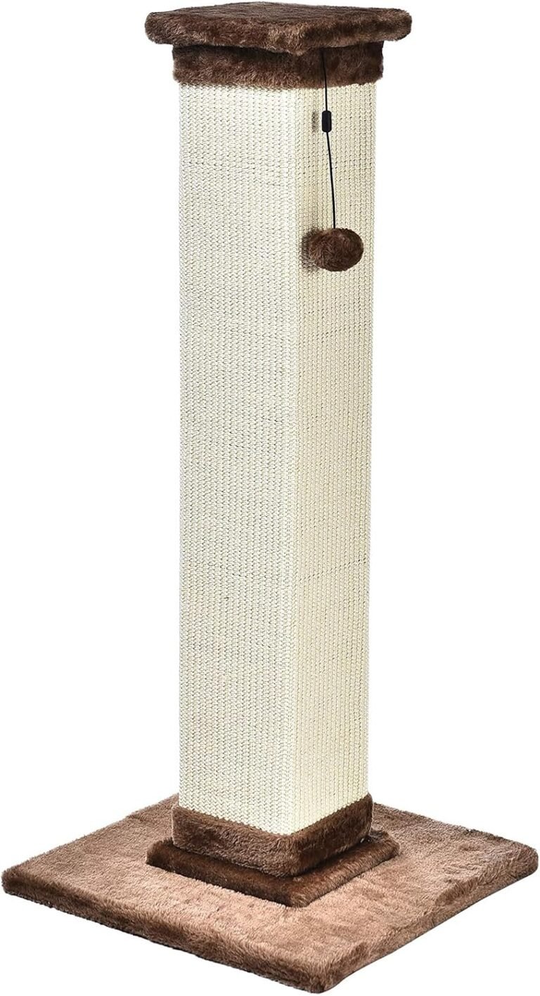 717LhjmdrhL. AC SL1500 Petogist