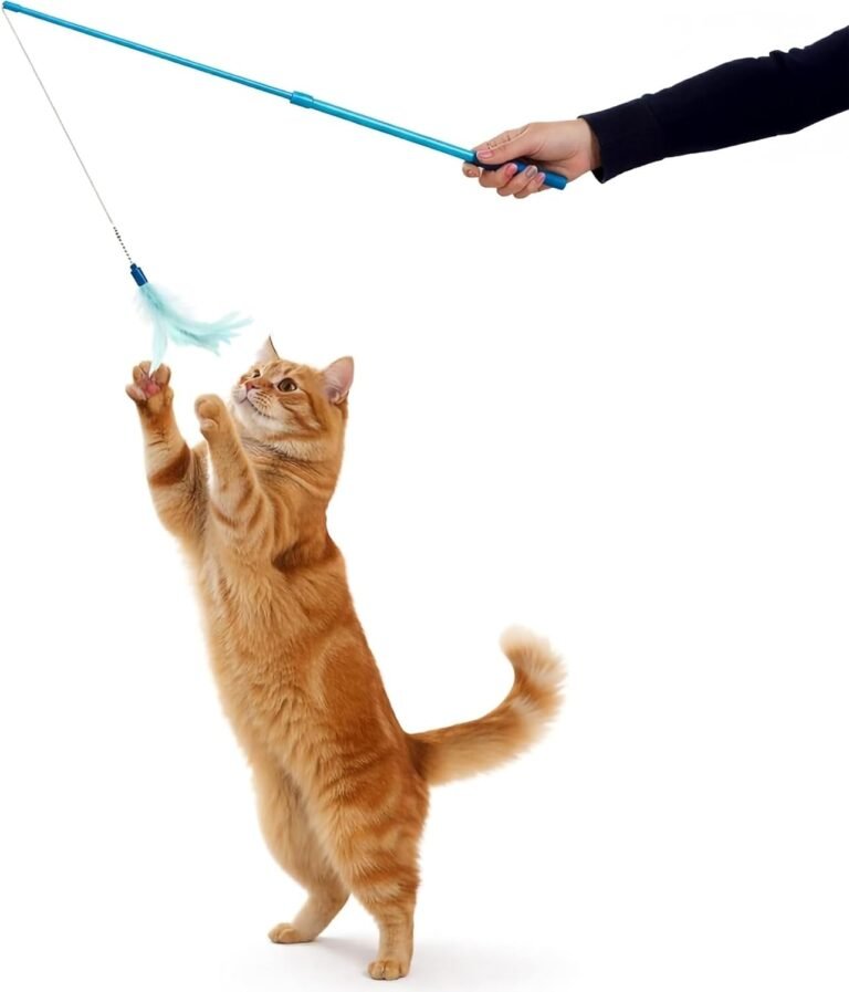 Cat Wand: 7 Ultimate Steps For Amazing Results In 2026 10 61ODsi1rpiL. AC SL1500 Petogist