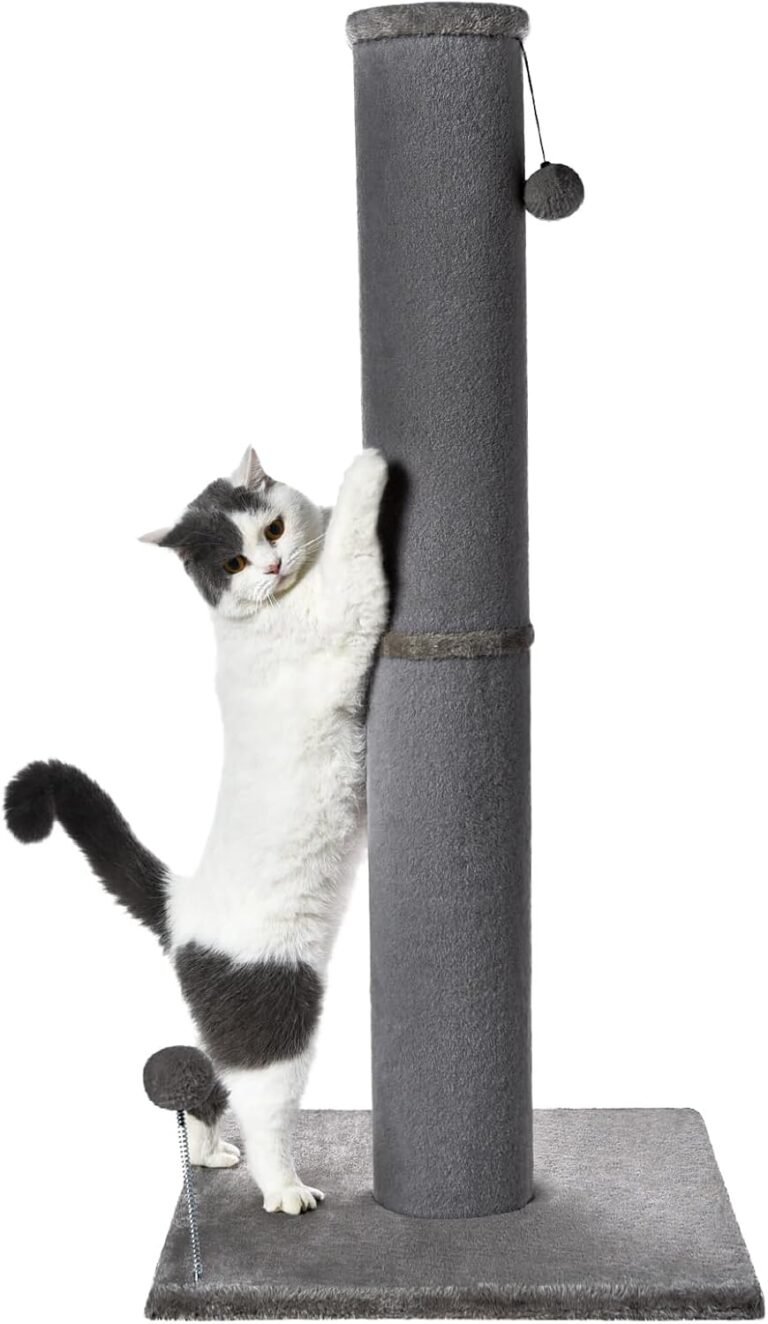 Cat Scratcher: 7 Ultimate Steps For Amazing Results In 2026 7 61wGBjRbGYL. AC SL1500 Petogist