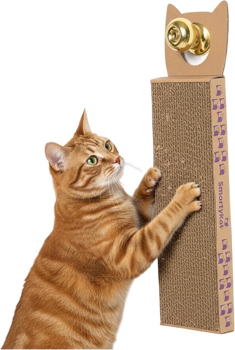 Cat Scratcher: 7 Ultimate Secrets For Amazing Results In 2026 7 71HYu0WfzSL. AC SL1500 Petogist