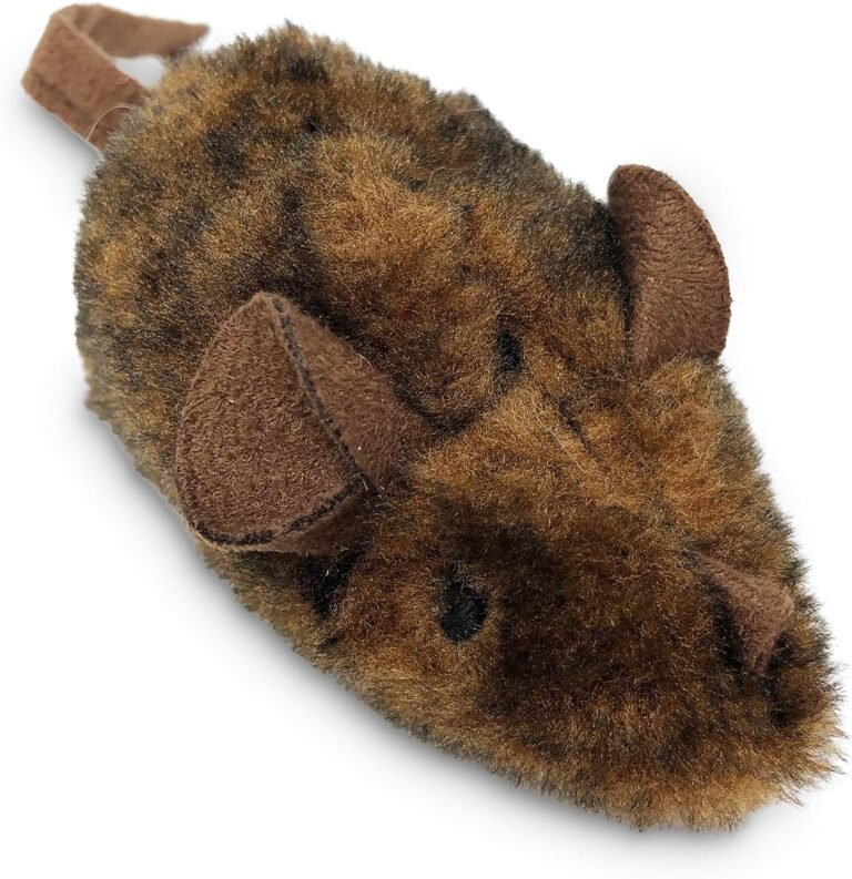 Cat Toy: 10 Ultimate Secrets For Amazing Fun In 2026 22 81EFVW 0SlL. AC SL1500 Petogist