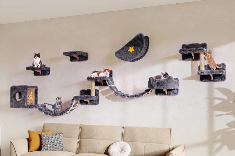 Cat Shelves: 13 Ultimate Steps For Amazing Cat Wall Furniture 2026 10 81Fa77nc7IL. AC SL1500 Petogist