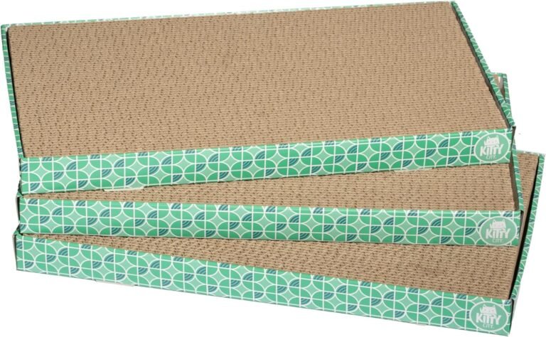 Cat Scratcher: 3 Ultimate Steps For The Best Solution In 2026 1 81N6kdocWPL. AC SL1500 Petogist
